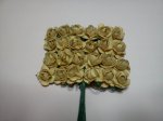 Gold Roses*