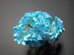 Turquoise Flowers*