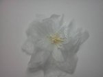 White Sheer Flowers with Brooch*
