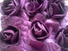 Purple Roses*