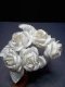 White Satin Roses*