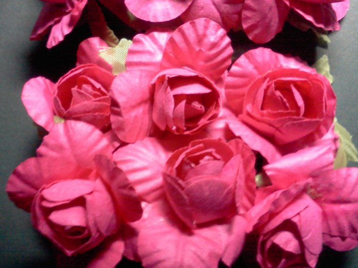 Fuschia Roses* - Click Image to Close