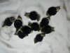 Black Fabric Flowers*