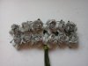 Silver Roses*