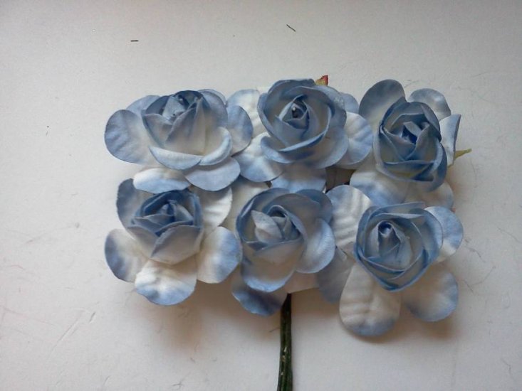 Blue Roses* - Click Image to Close