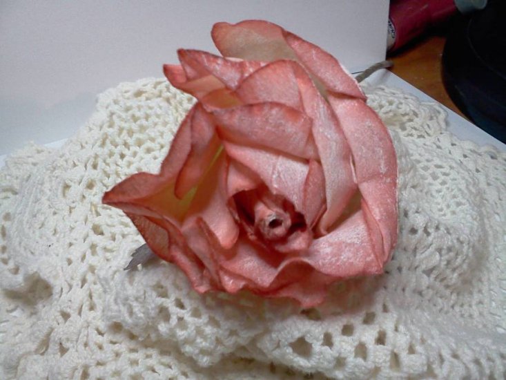 Peach Roses - Click Image to Close