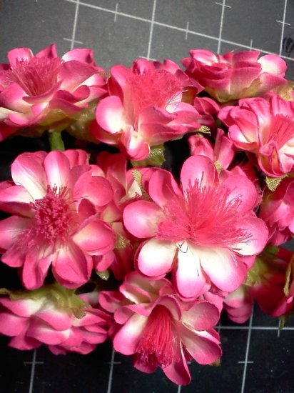 Two Tone Fuschia Flowers* - Click Image to Close
