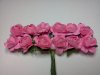 Pink Roses*