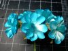 Two Tone Turquoise Flowers