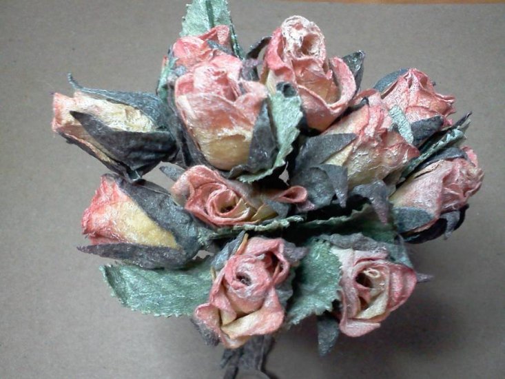5 packs of Two Tone Peach Roses - Click Image to Close