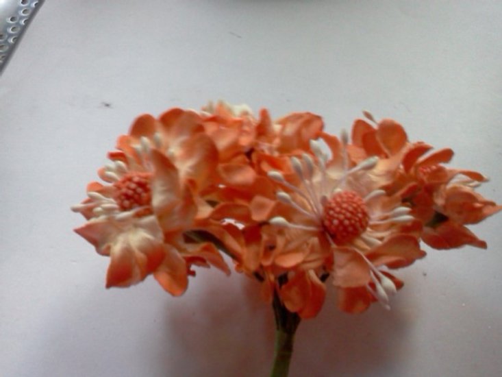 Two Tone Orange Flowers* - Click Image to Close