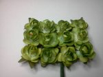 Green Roses*