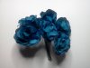 Blue Roses*