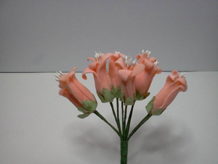 Peach Dough Flowers* - Click Image to Close