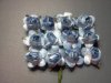 Two Tone Blue Roses*