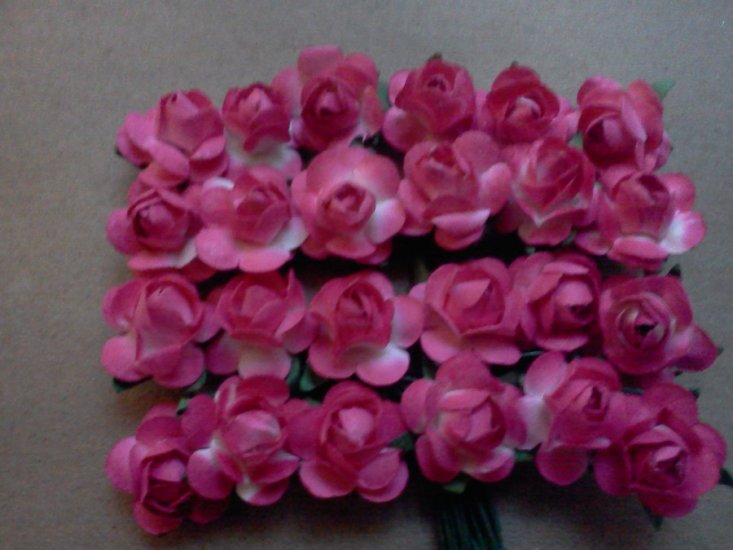 Two Tone Fuschia Roses* - Click Image to Close