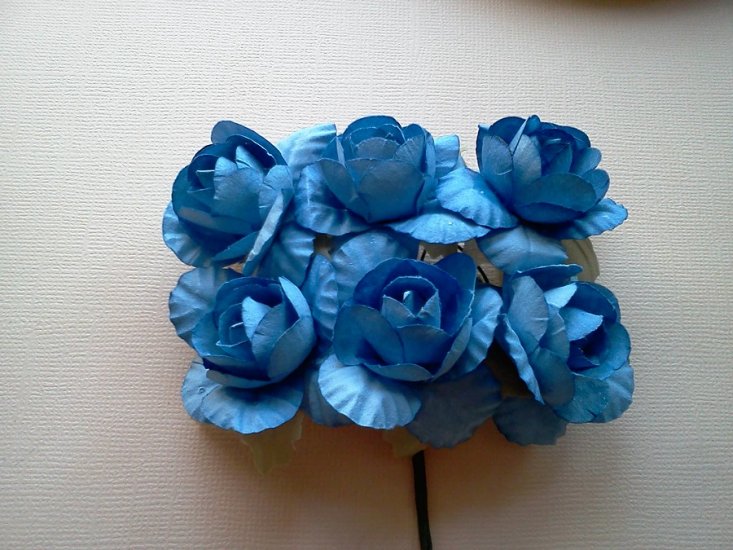 Blue Roses* - Click Image to Close