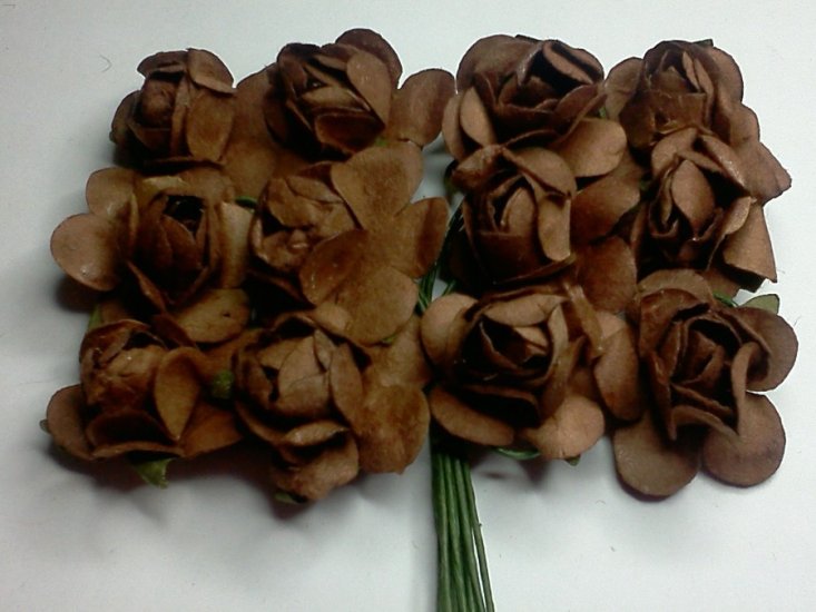 Brown Roses* - Click Image to Close