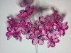 Acrylic Fuschia Flowers*