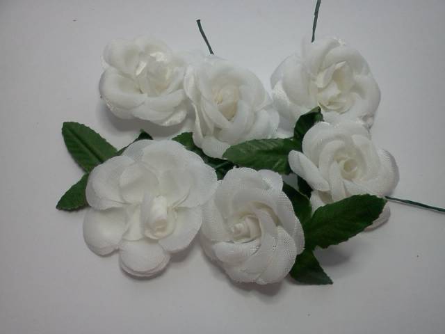 12 White Roses* - Click Image to Close