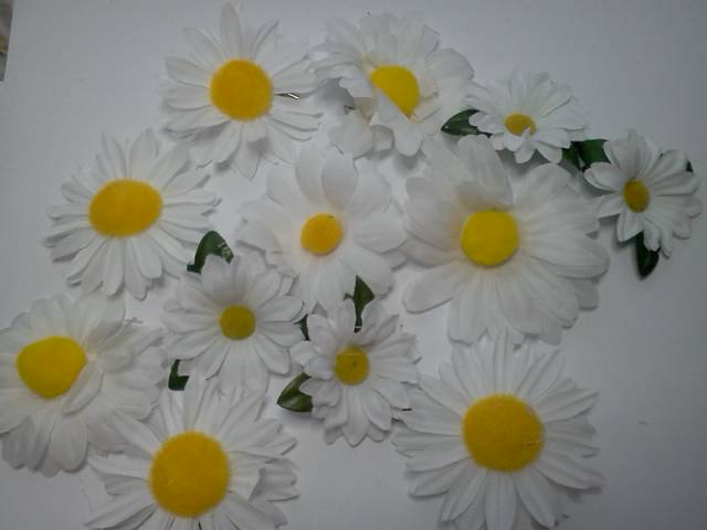 Mix Sun Flowers* - Click Image to Close