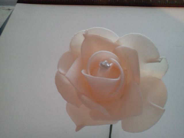 Ivory Foam Roses* - Click Image to Close